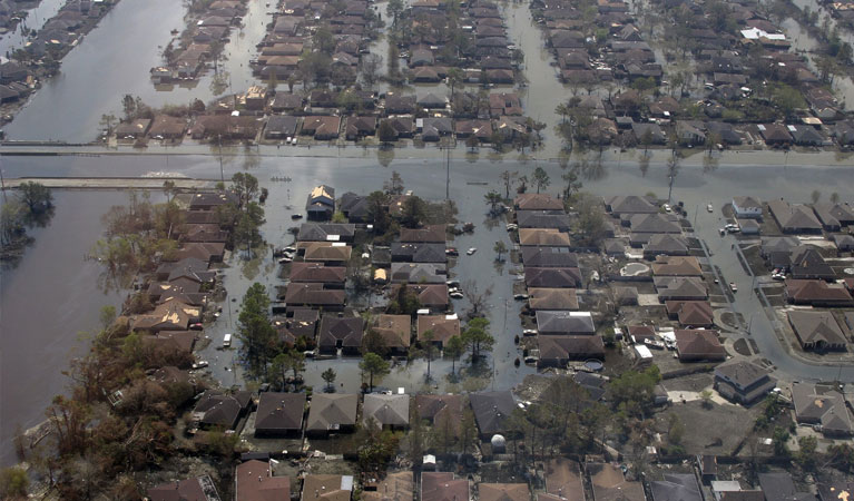Provo Post Disaster Survey